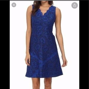 Beautiful Lace Calvin Klein Dress